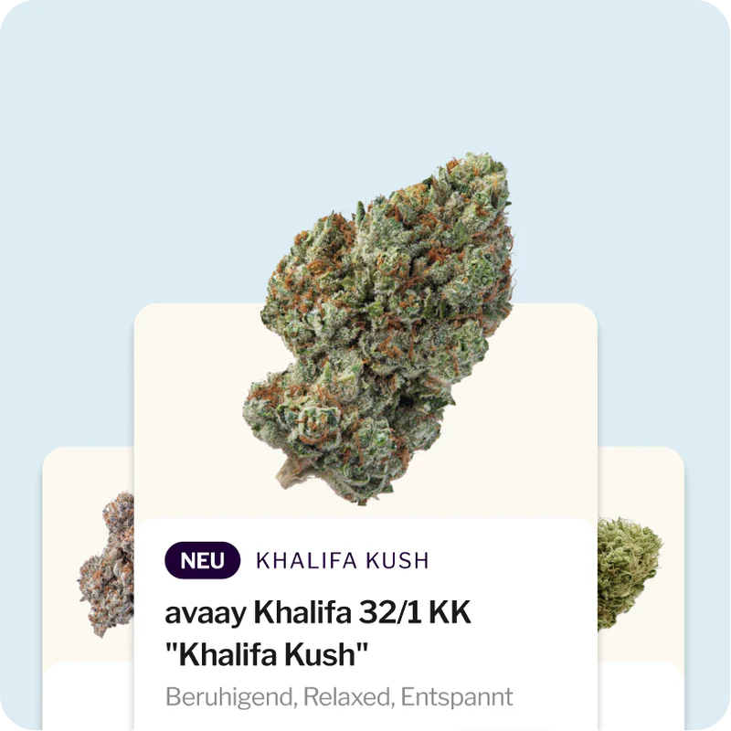 Medizinisches Cannabis einfach auf Rezept